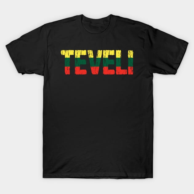 Lithuanian Teveli Dad Father Tetis Lietuva Flag T-Shirt by Nirvanibex